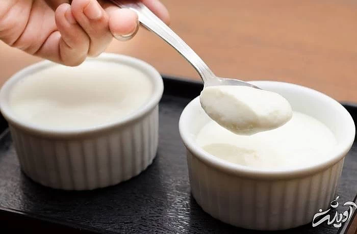 علت آب انداختن ماست